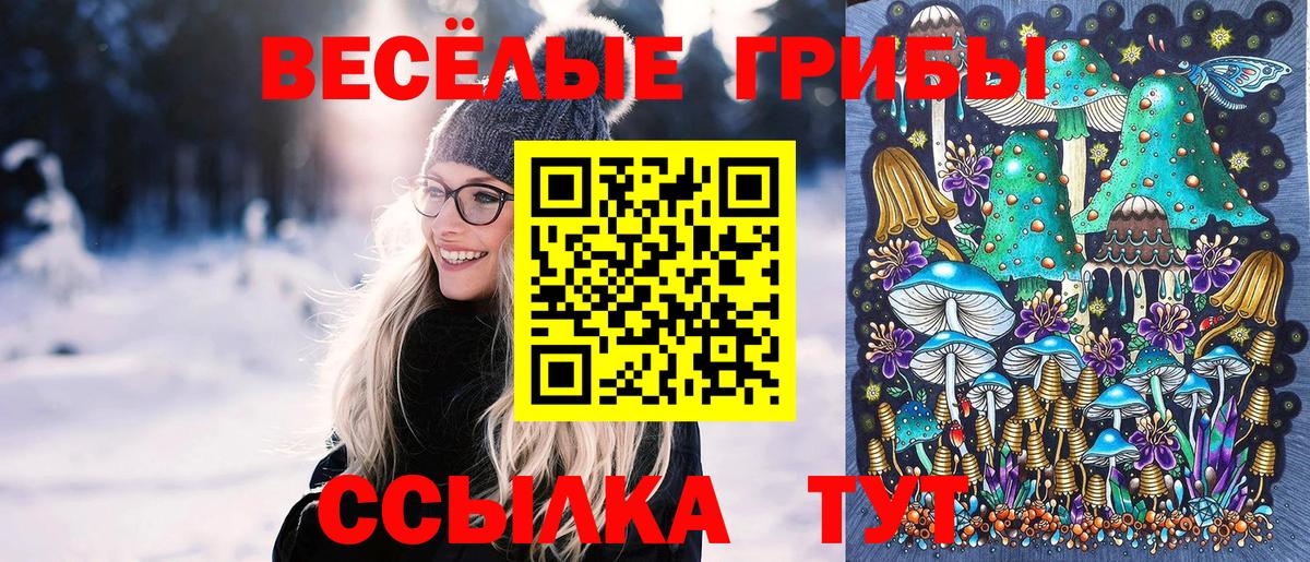 Галлюциногенные грибы ЛСД Губаха